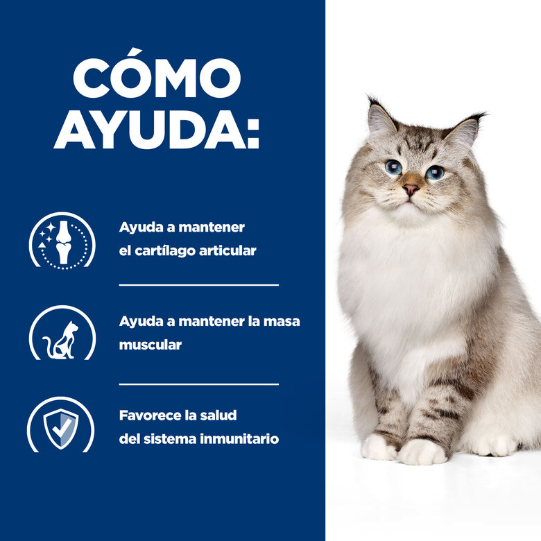 Hill's Prescription Diet Mobility j/d pienso para gatos, , large image number null